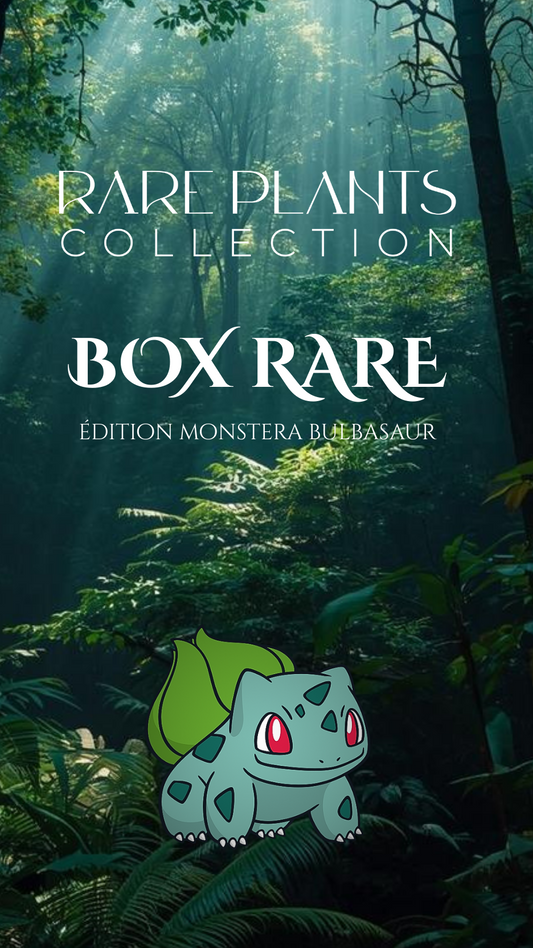 RARE BOX