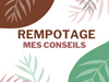Conseils pour le rempotage des plantes d'intérieur