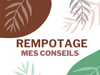 Conseils pour le rempotage des plantes d'intérieur