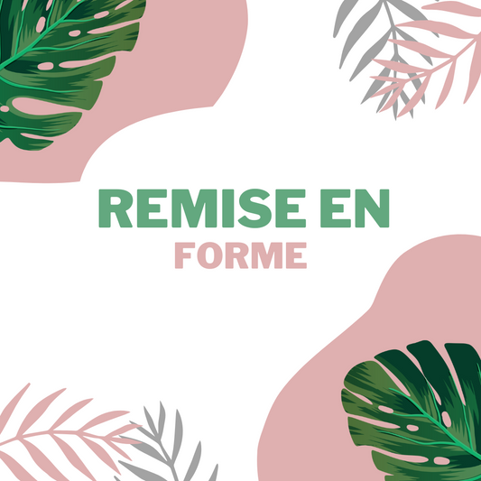 Votre plante d’intérieur va mal ? Voici comment la remettre en forme !