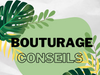 Bouturage : mes conseils