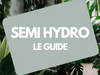 Culture en semi-hydro : guide complet pour plantes d’intérieur