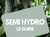 Culture en semi-hydro : guide complet pour plantes d’intérieur