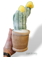 Peluche Plante (plusieurs options)