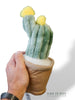 Peluche Plante (plusieurs options)