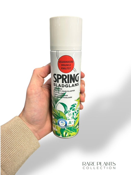 Leaf Shine – 250-ml-Aerosol