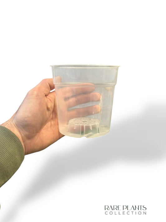 Transparent Pots