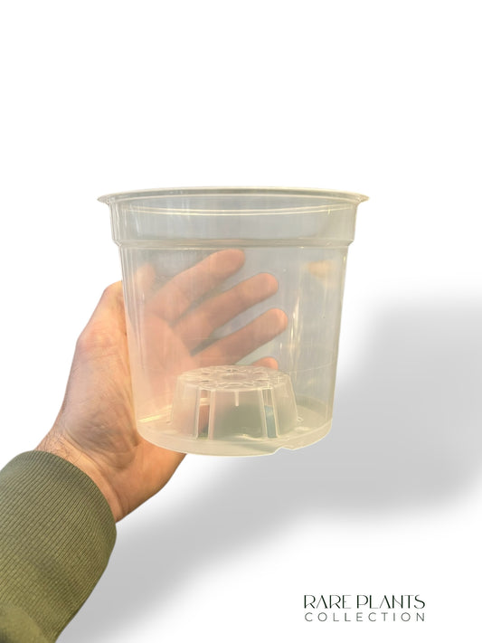 Transparent Pots