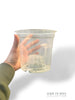 Transparente Töpfe