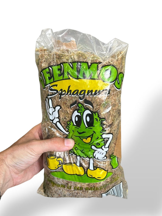 Sphaigne 800g