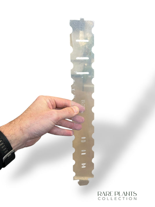 Colerette pour Anthuriums