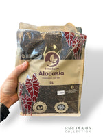 Substrats Sybotanica