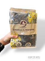 Substrats Sybotanica