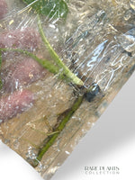 Monstera Bulbasaur (TC)