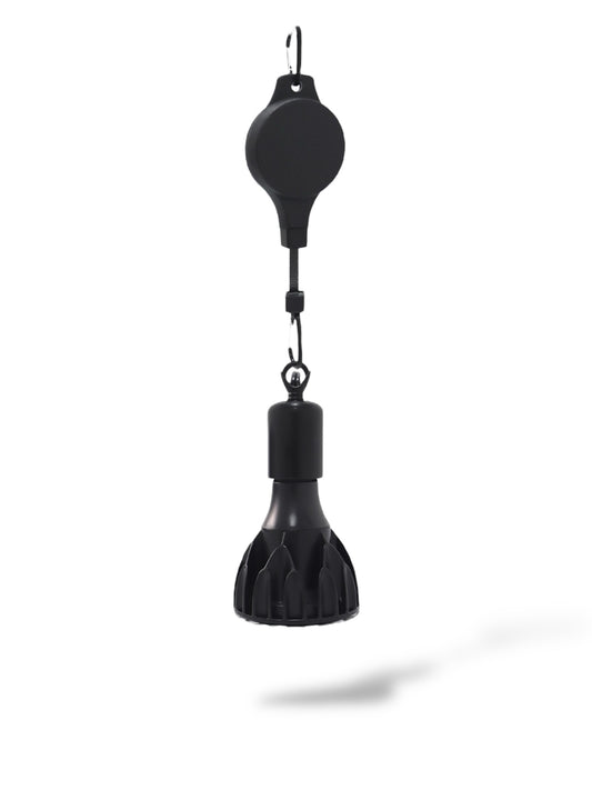 Ampoule horticole 15W + SUSPENSION
