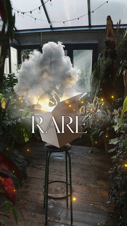 RARE BOX